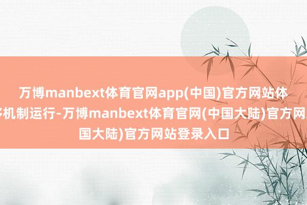 万博manbext体育官网app(中国)官方网站体内自动转移机制运行-万博manbext体育官网(中国大陆)官方网站登录入口