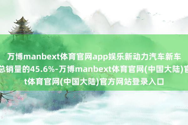 万博manbext体育官网app娱乐新动力汽车新车销量占汽车新车总销量的45.6%-万博manbext体育官网(中国大陆)官方网站登录入口